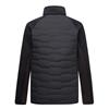 REGATTA Cyrus Hybrid Black