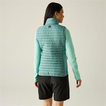 REGATTA WOMENS ANDERSON HYBRID JACKET IVY MOSS 8