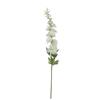 Delphinium white - 178cm