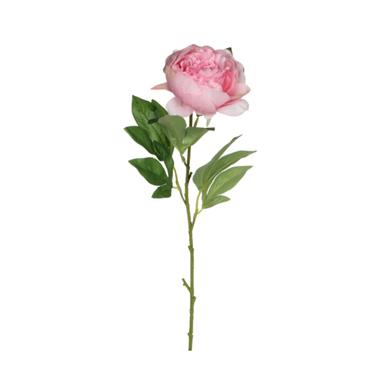 Peony pink - 176cm