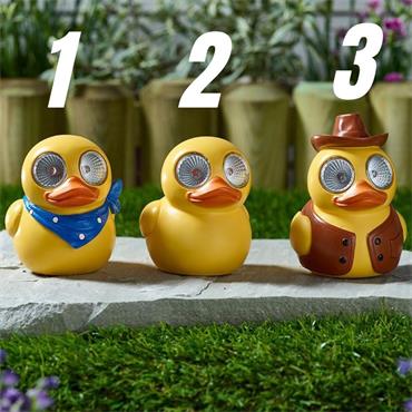 Smart Garden Lucky Ducky!