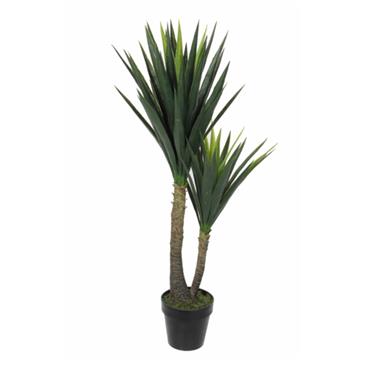 Yucca in pot green - h120xd60cm