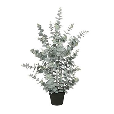 Eucalyptus in pot green - h97xd38cm