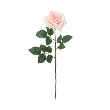 Rose Emily l. pink - 166cm