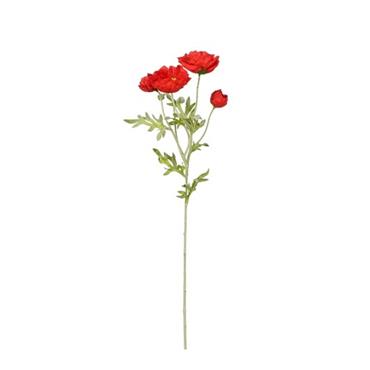 Poppy red - 162cm