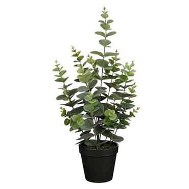 Eucalyptus in pot green - h53xd23cm