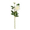 Dahlia cream - 169cm