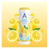 Astonish Shake n Fresh Lemon 350g