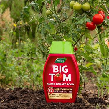 Westland Big Tom Tomato Feed 1L