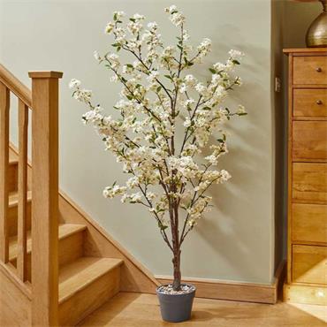 Smart Garden Cherry Blossom Tree White 140cm 