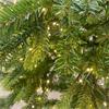 Galloway Spruce Pre Lit 7ft