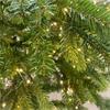 Galloway Spruce Pre Lit 7ft