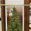 Galloway Spruce Pre Lit 7ft