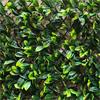 TRELLIS - WONDERWALL LAUREL LEAF 180 X 60