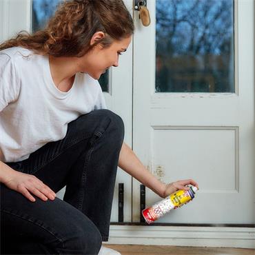 Zero In Ant & Crawling Insect Killer 300ml