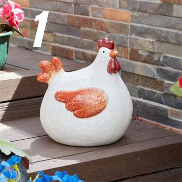Smart Garden Lady Cluck Large Mixed Design