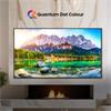 Hisense U6 50" Mini-LED Smart TV 