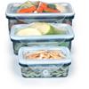 Alpina Food Storage Box 2as 3pc