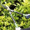 AMES HEDGE SHEARS TELESCOPIC 