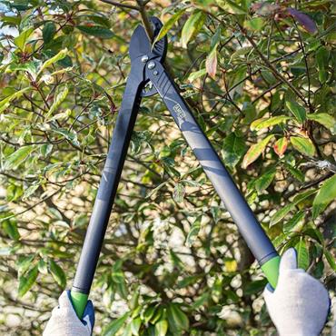 AMES ANVIL LOPPERS LONG REACH 