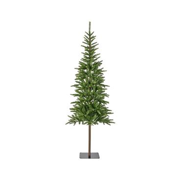 Everlands Alpback Fir Green 8ft