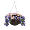 HANGING BASKET PANSY NEARLY NATURAL