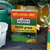 LAWN SEED TOUGH  500G +20% GOULDING