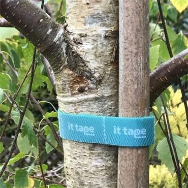 IT TAPE 2MTR GREEN
