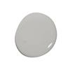 Colourtrend Tester SILVER MOONLIGHT 100ml