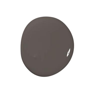 Colourtrend Tester PINE MARTEN 100ml