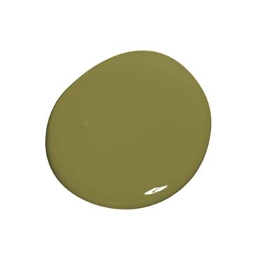 Colourtrend Tester LEAFY GREEN 100ml