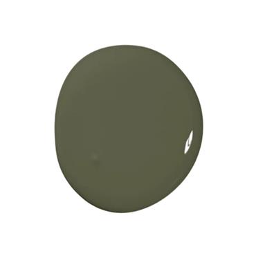 Colourtrend Tester SWEET CAPER 100ml