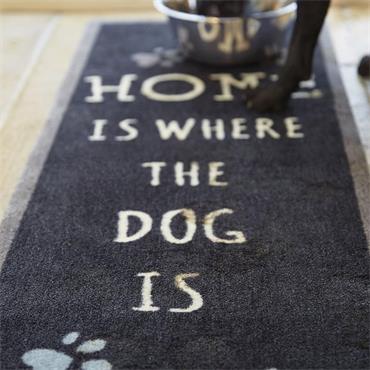 HOWLER & SCRATCH HOME 2 50 X 150CM
