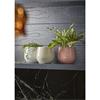 Woodlodge Como Pot Pink 13cm