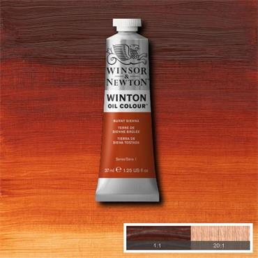 WINTON OIL PAINT 37ML BURNT SIENNA