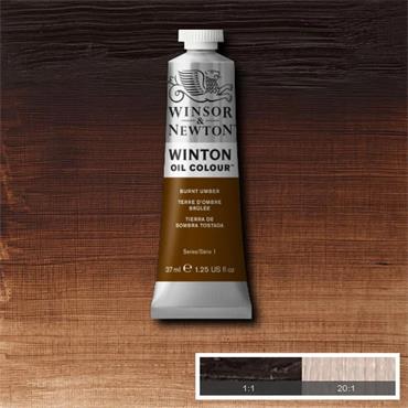 WINTON OIL PAINT 37ML BURNT UMBER