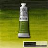 WINTON OIL PAINT 37ML SAP GREEN