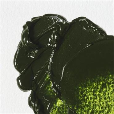WINTON OIL PAINT 37ML SAP GREEN
