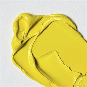 WINTON OIL PAINT 37ML CADMIUM LEMON HUE