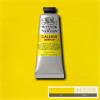 GALERIA 60ML CADMIUM YELLOW PALE
