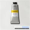 GALERIA 60ML TITANIUM WHITE