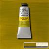 GALERIA 60ML GREEN GOLD