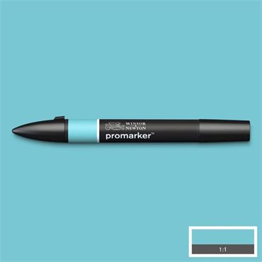 PROMARKER DUCK EGG