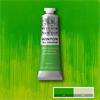 WINTON OIL PAINT 37ML PHTHALO YELLOW GREEN