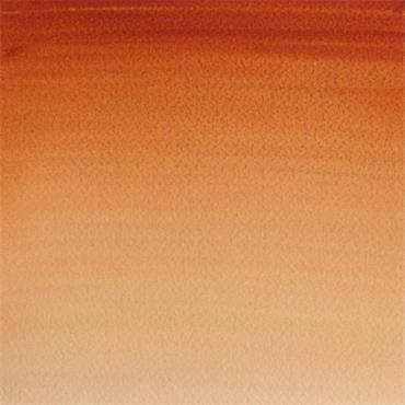COTMAN 8ML BURNT SIENNA