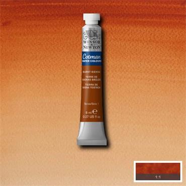 COTMAN 8ML BURNT SIENNA