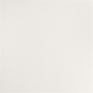 COTMAN 8ML CHINESE WHITE