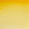 COTMAN 8ML GAMBOGE HUE