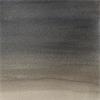 COTMAN 8ML IRIDESCENT BLACK