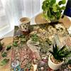 The Art File: Summer Haze (1000)